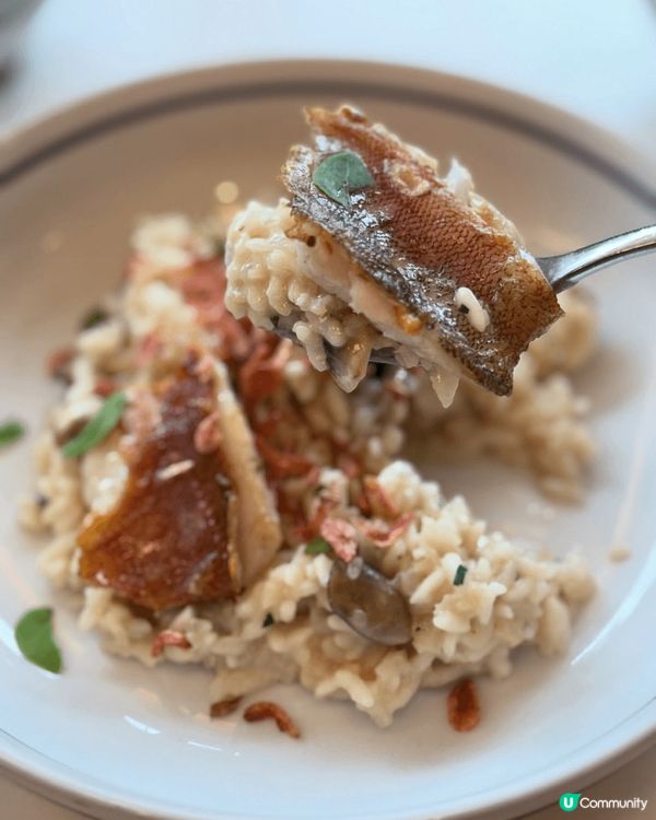 最近去試咗呢間新派西餐廳，環境好舒服，光線充足，仲有靚靚嘅擺...