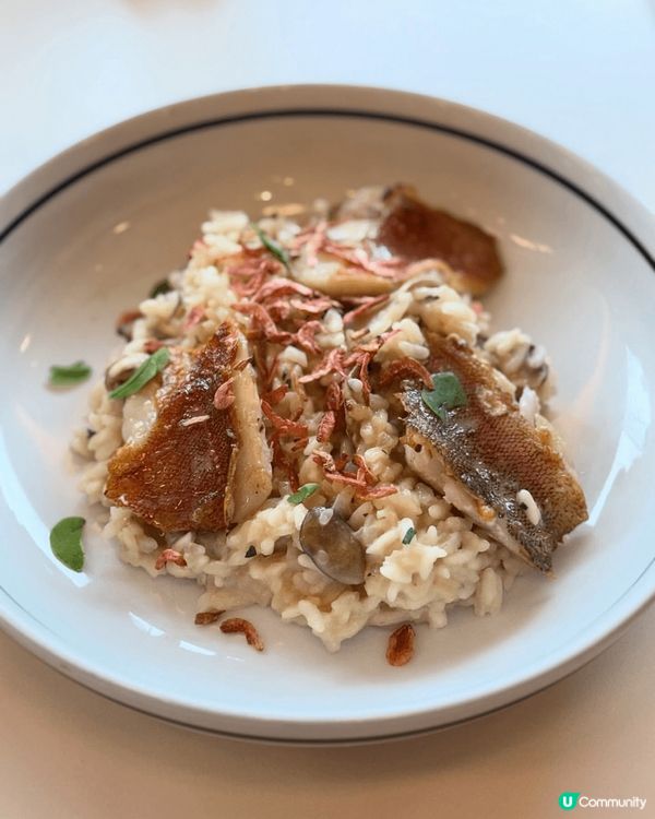 最近去試咗呢間新派西餐廳，環境好舒服，光線充足，仲有靚靚嘅擺...