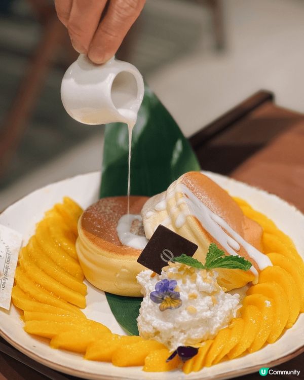Cafe採用森林系裝修風格🌳