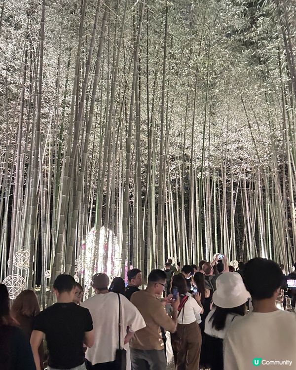嵐山月燈路😍