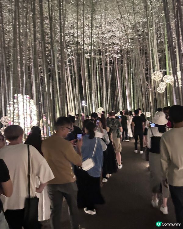 嵐山月燈路😍
