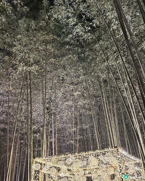 嵐山月燈路😍