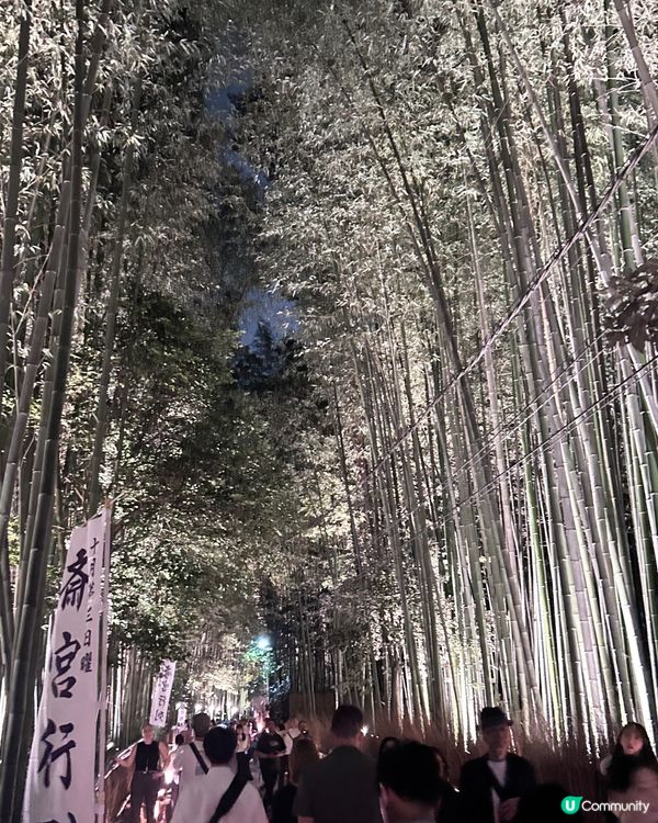 嵐山月燈路😍