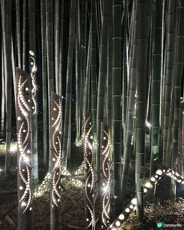 嵐山月燈路😍