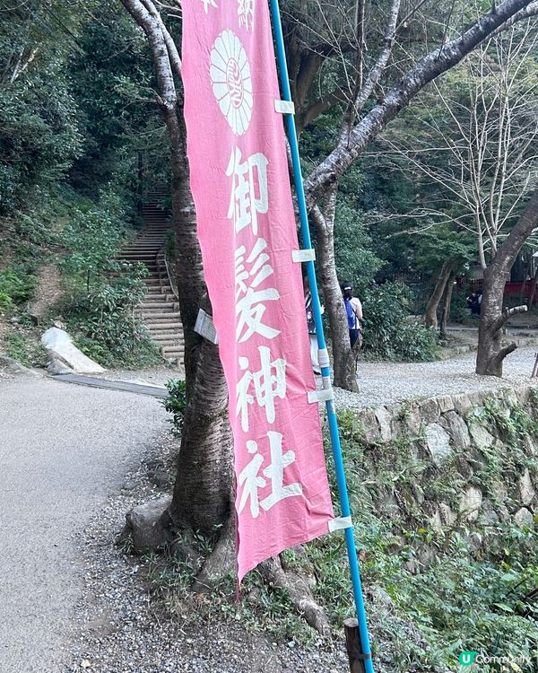 日本獨一無二具有理髮和美容功效的神社