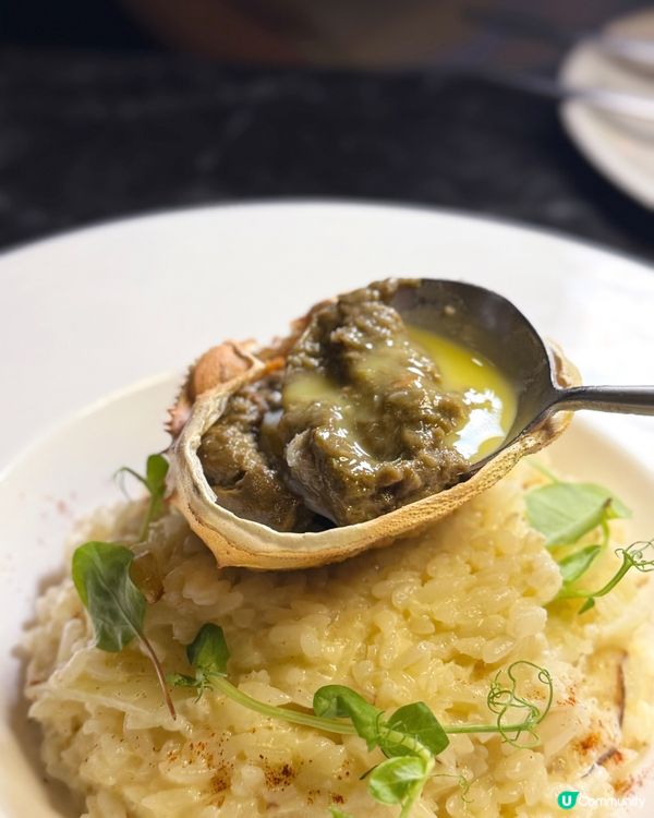 回訪屯門西餐~黑松露芝士鍋🫕🧀