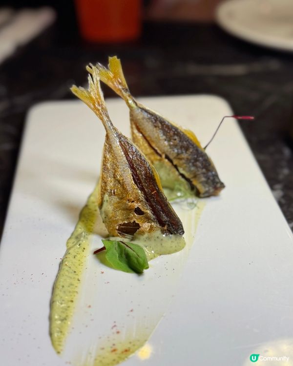 回訪屯門西餐~黑松露芝士鍋🫕🧀