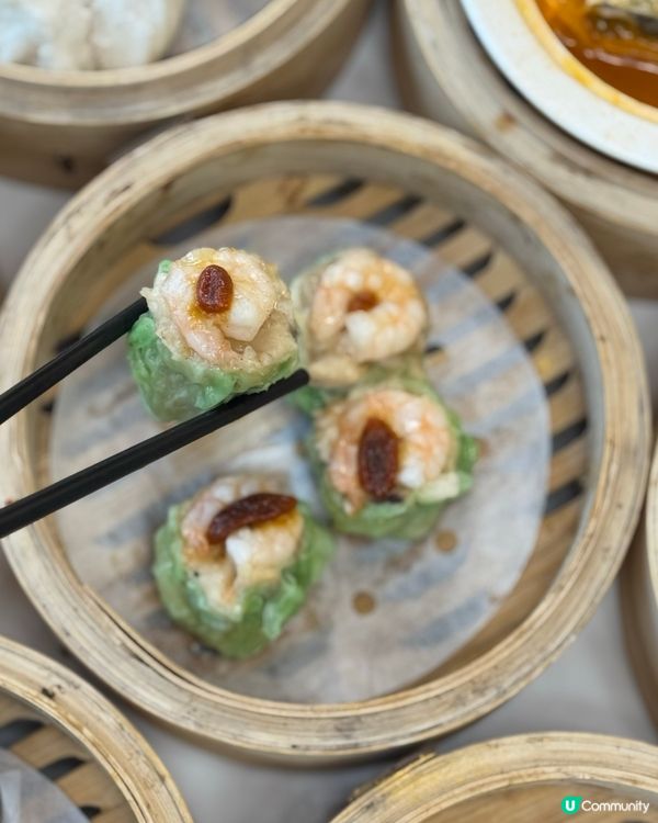 啟德新開張手工點心🤤限時免茶芥加一好抵食！