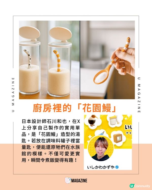 日本創意調料罐裡養花園鰻！超實用又療癒的廚房好物