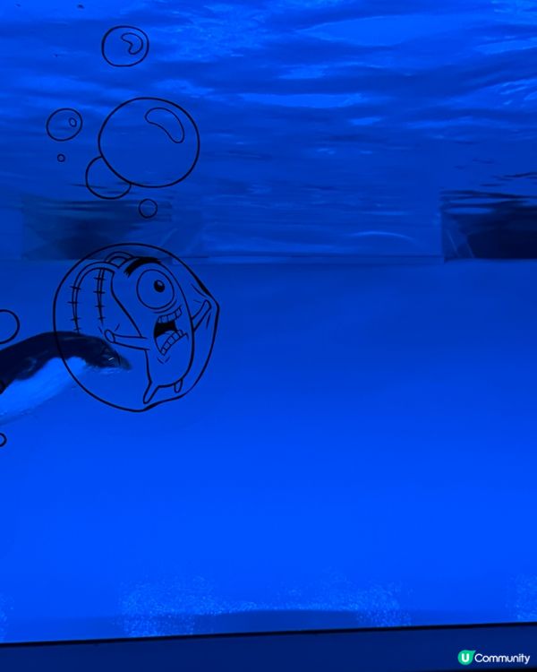 ［北海道晚間活動］全新開業AOAO Sapporo狸小路水族館