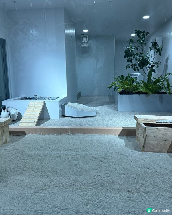 ［北海道晚間活動］全新開業AOAO Sapporo狸小路水族館