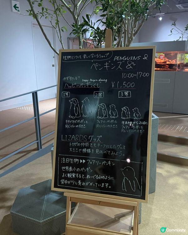 ［北海道晚間活動］全新開業AOAO Sapporo狸小路水族館