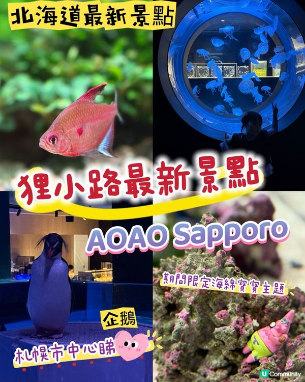 ［北海道晚間活動］全新開業AOAO Sapporo狸小路水族館