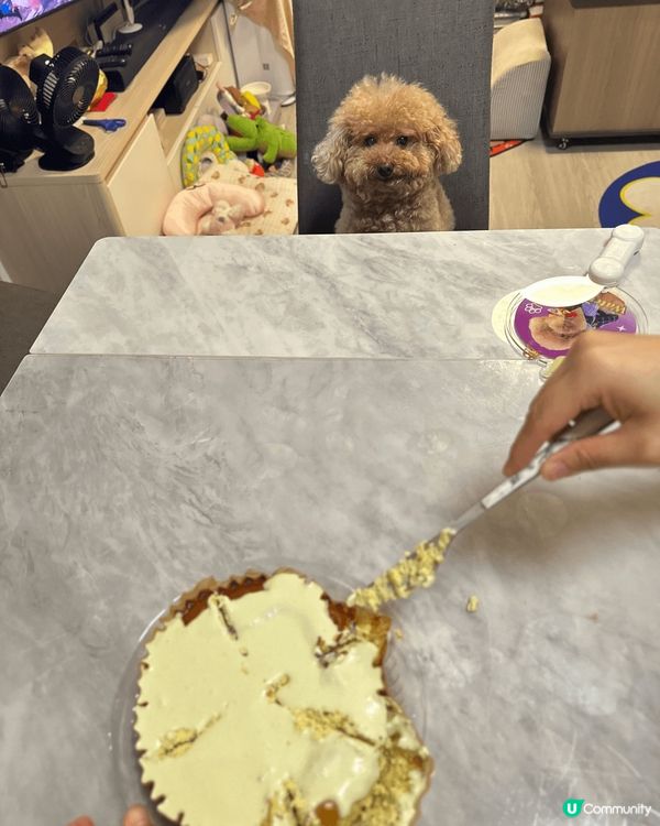 自家制狗狗月餅🥮，