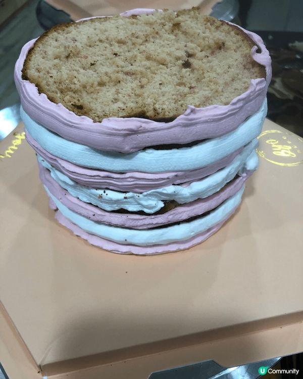 享受一下整蛋糕嘅樂趣，有晒食譜，有晒材料，只係需要享受，超級...