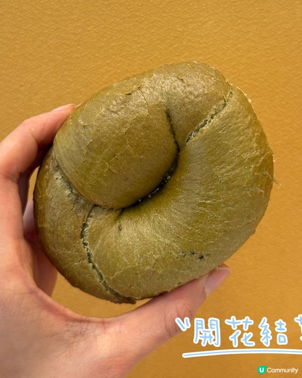 台灣斑斕空貝開箱！🤤 天然綠色超好味！🥯