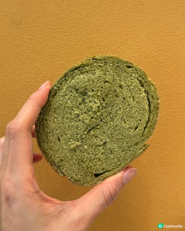 台灣斑斕空貝開箱！🤤 天然綠色超好味！🥯