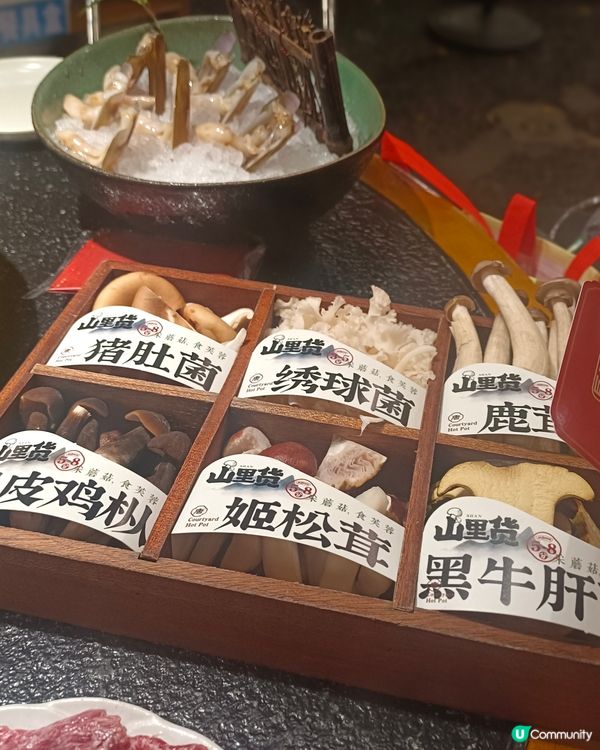 深圳南山打卡庭院風火鍋🍲