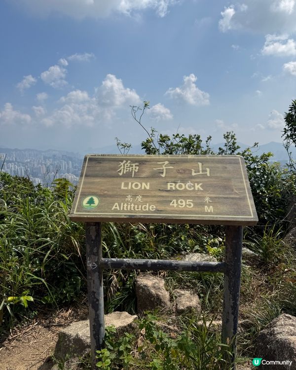 秋來了～ 行獅子山！