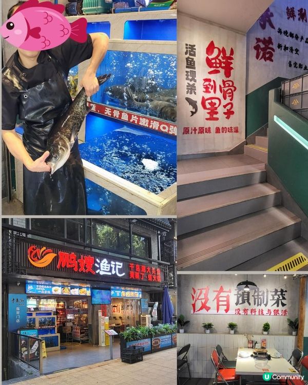 魚+羊＝鮮, 太有特色了