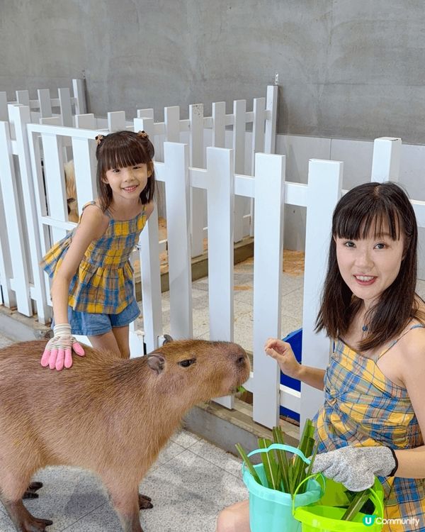 去到【Lollypet寵萌樂園】，相機根本停唔到手🤳🏻爆機模...