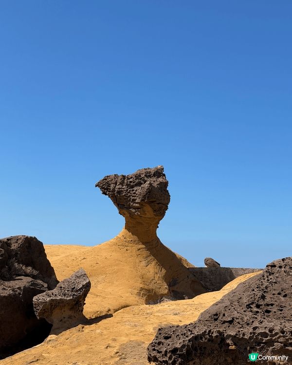 **【台灣野柳地質公園遊記】與女王頭的夏日邂逅👑✨**  