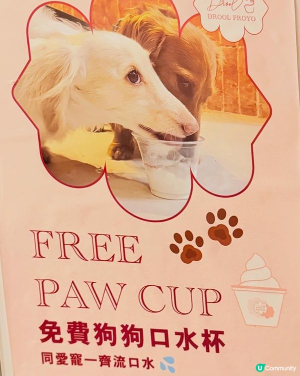 中環健康froyo🍵🍦抹茶控必食😋