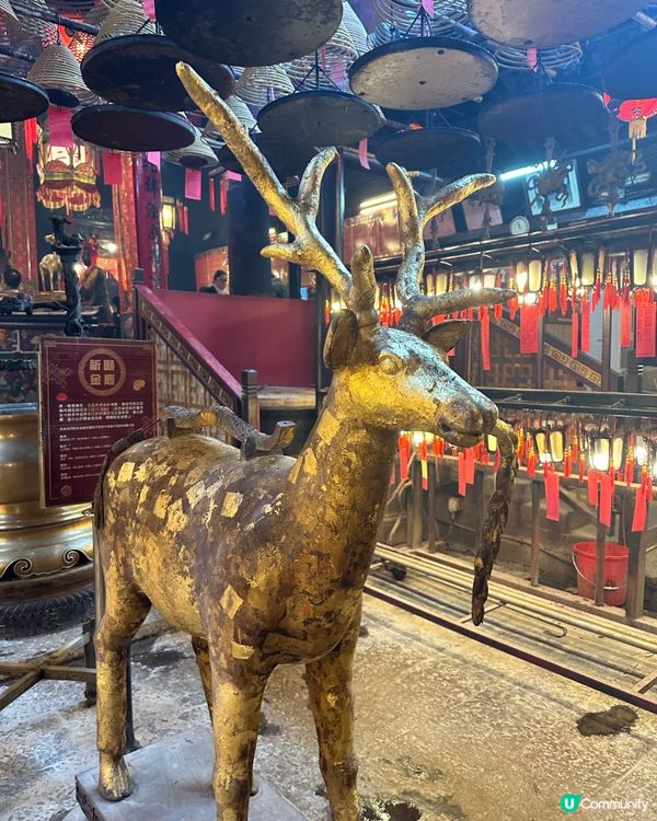 考試加油💪文武廟拜拜祈福🙏