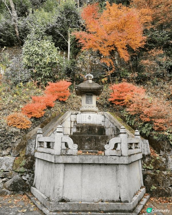 京都清水寺座落於音羽山之上，秋季正值紅葉季，與周圍茂密的紅葉...