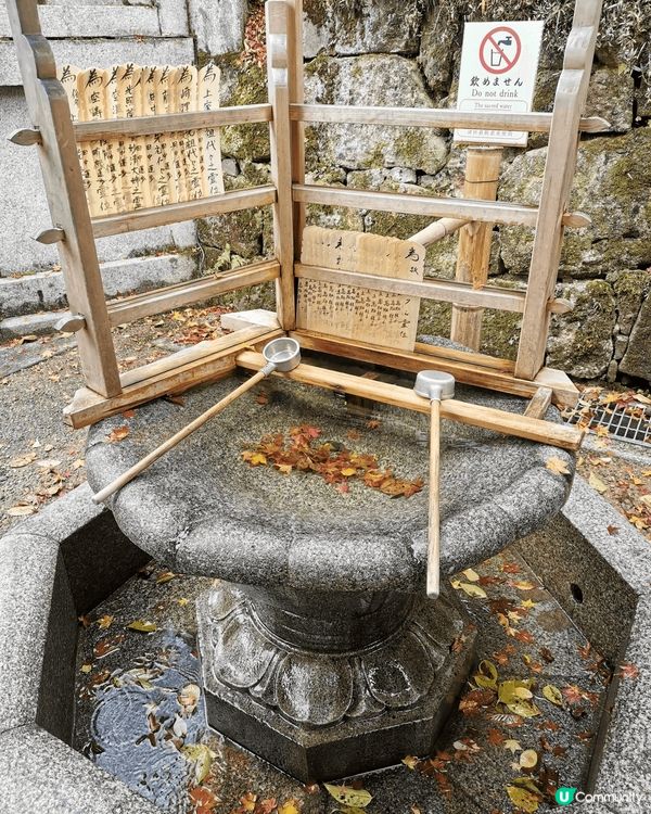 京都清水寺座落於音羽山之上，秋季正值紅葉季，與周圍茂密的紅葉...