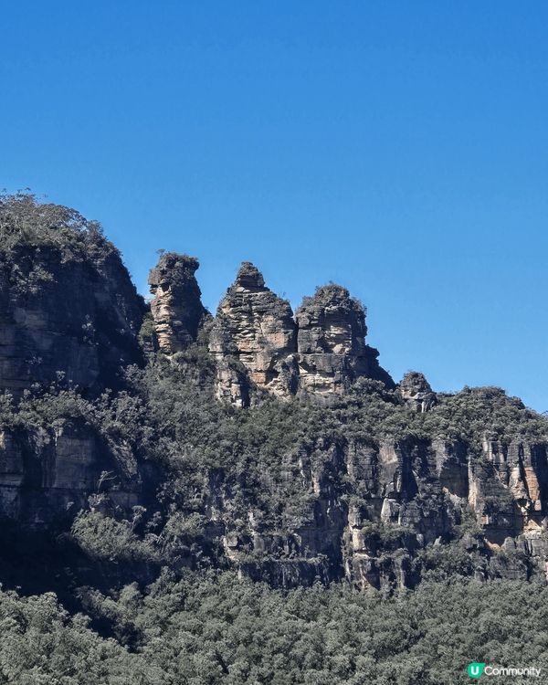 澳洲藍山