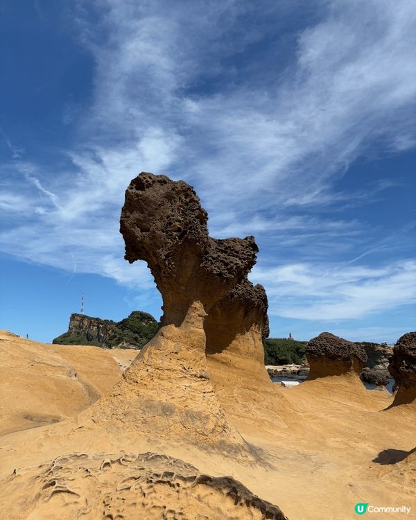 **【台灣野柳地質公園遊記】與女王頭的夏日邂逅👑✨**  