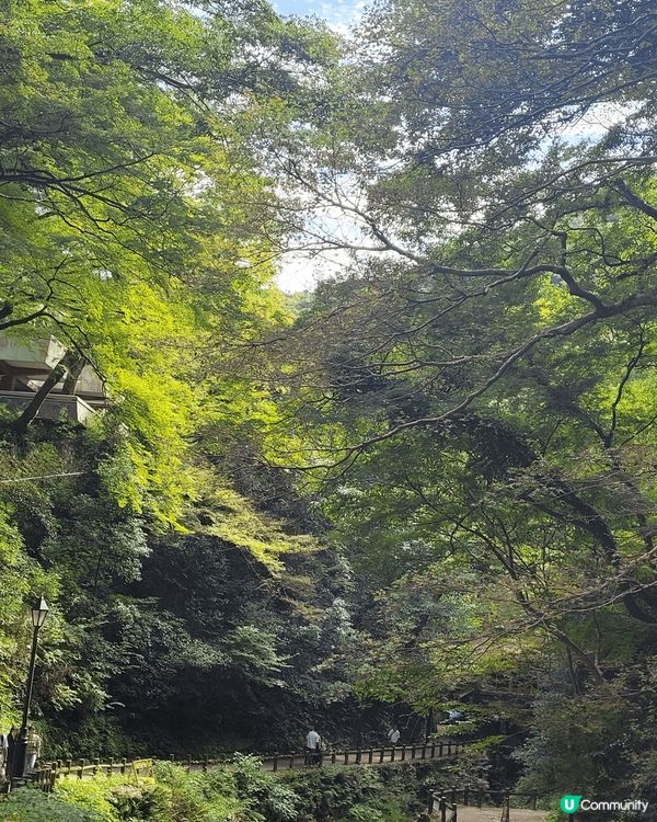 行山運動，除左飲食，都要做下運動，咁先會有食到既嘢有發揮既功...