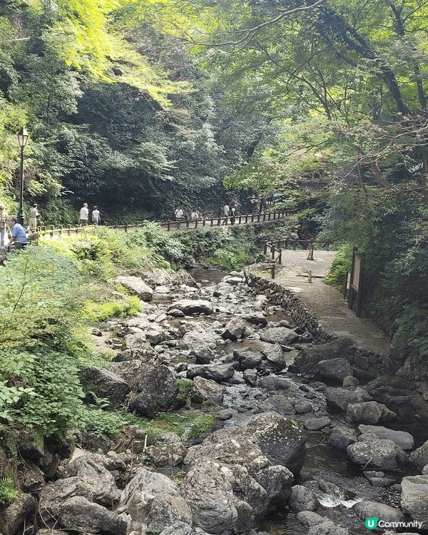 行山運動，除左飲食，都要做下運動，咁先會有食到既嘢有發揮既功...