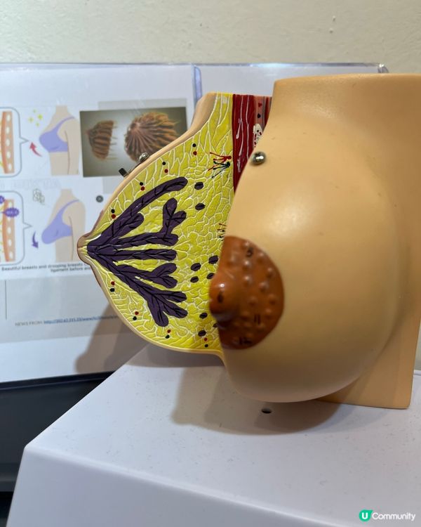 無鋼圈都咁堅挺！🤩 喱士肩帶超靚！💖