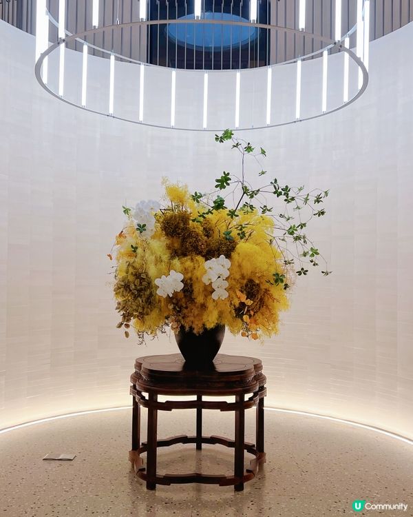 慶生約會必去！南山浪漫意菜 🌹🍝