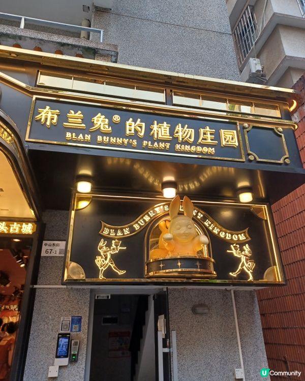 寶安南頭古城遊記！新舊交融超好玩🤩 老少咸宜打卡美