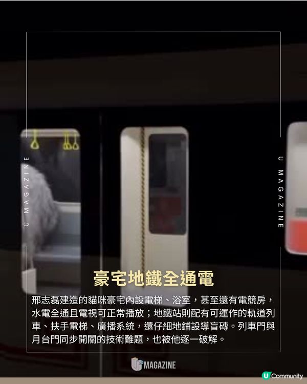 最強貓奴打造微型城市 主子坐擁私人地鐵站、豪宅