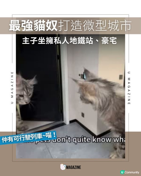 最強貓奴打造微型城市 主子坐擁私人地鐵站、豪宅
