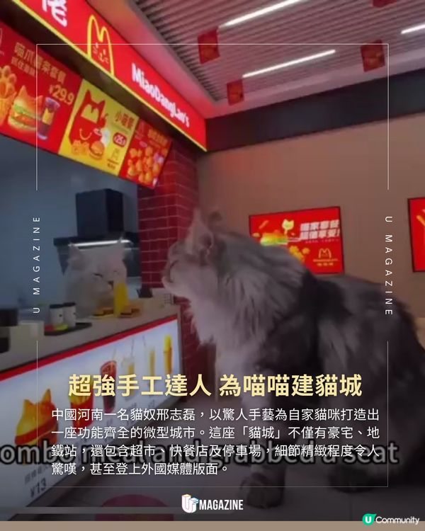 最強貓奴打造微型城市 主子坐擁私人地鐵站、豪宅