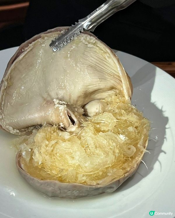 蓮塘口岸出發！深圳一日遊：登山賞景+順德公地道美食全攻略