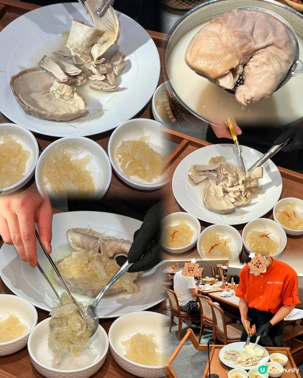 蓮塘口岸出發！深圳一日遊：登山賞景+順德公地道美食全攻略