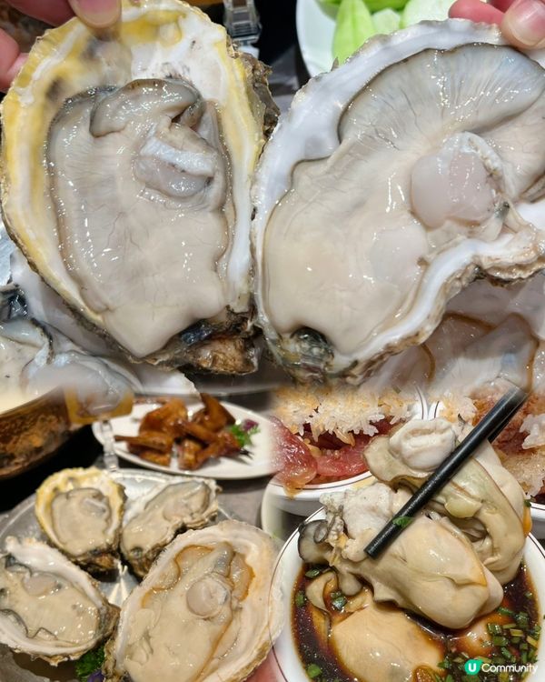 蓮塘口岸出發！深圳一日遊：登山賞景+順德公地道美食全攻略