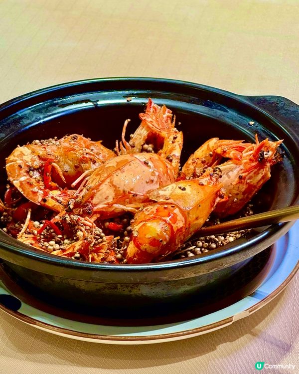 // #肥撈搵食//📍利舞臺高質川粵菜