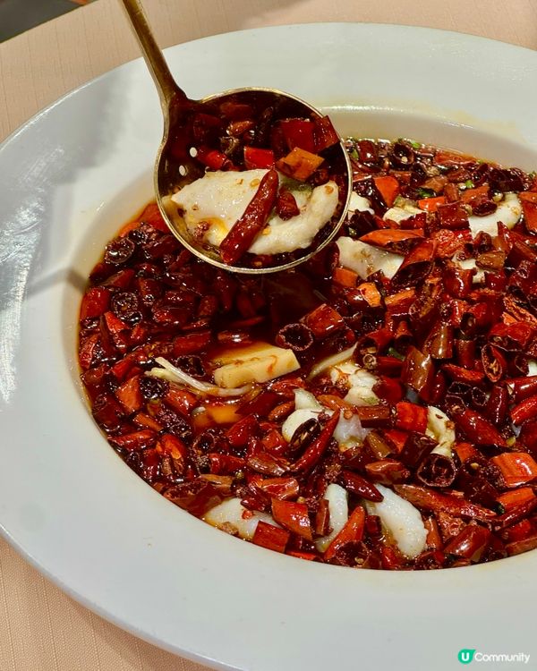 // #肥撈搵食//📍利舞臺高質川粵菜