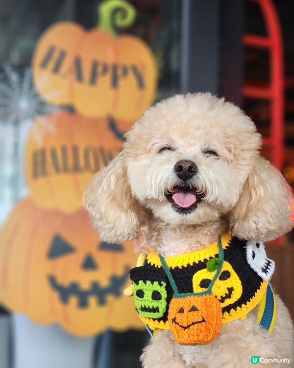 餓虎藏龍 萬聖節大餐