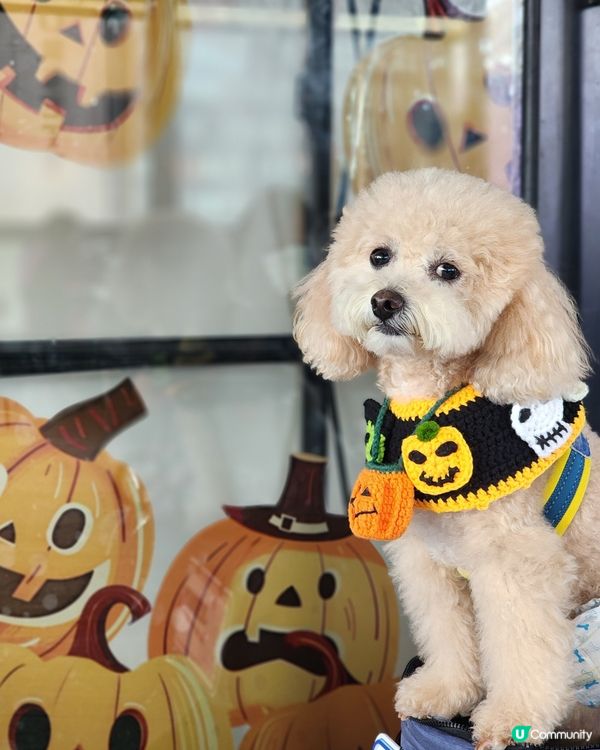 餓虎藏龍 萬聖節大餐