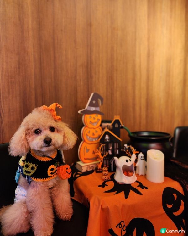 餓虎藏龍 萬聖節大餐