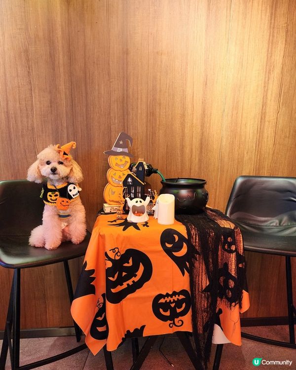 餓虎藏龍 萬聖節大餐