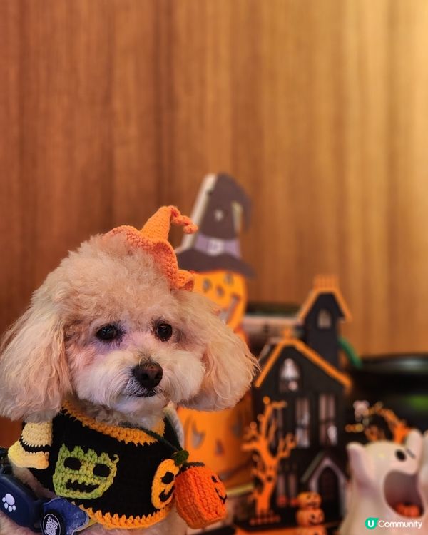 餓虎藏龍 萬聖節大餐